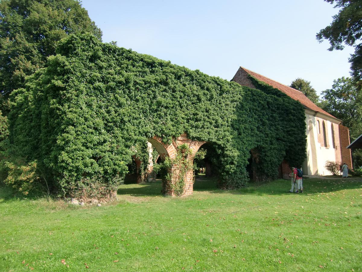 Hotel Zum Birkenhof Stechlin Kültér fotó